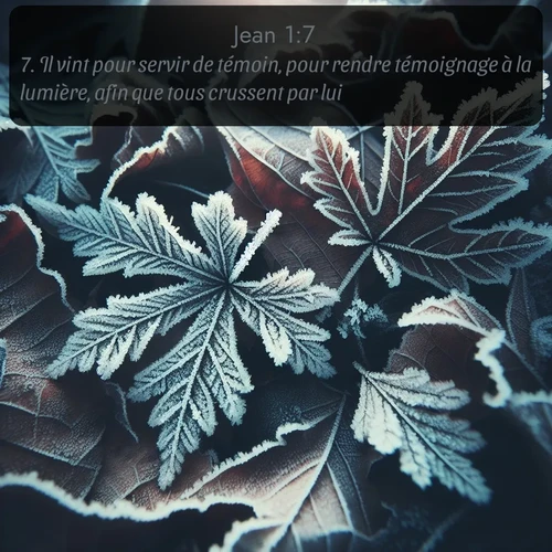 Segond Évangile selon Jean  ; image nature: image avec le verset biblique :Il vint pour servir de témoin, pour rendre témoignage à la lumière, afin que tous crussent par lui. ;  ; 1:7
