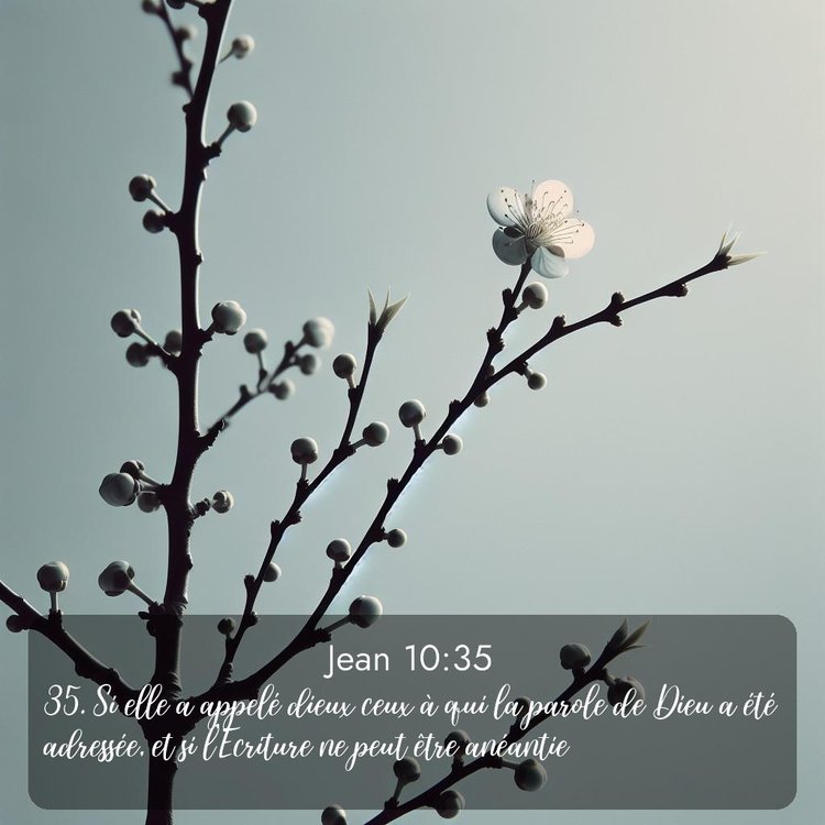 image nature avec verset biblique de la Bible