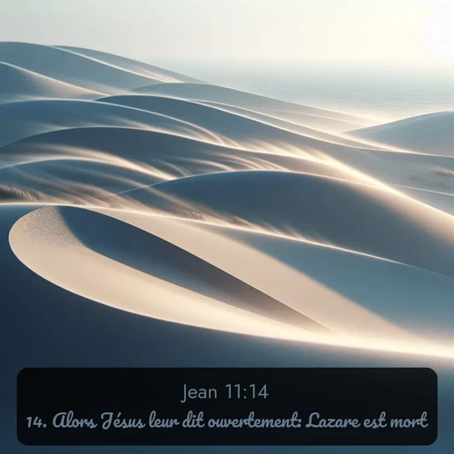 Segond Évangile selon Jean  ; image nature: image avec le verset biblique :Alors Jésus leur dit ouvertement: Lazare est mort. ;  ; 11:14