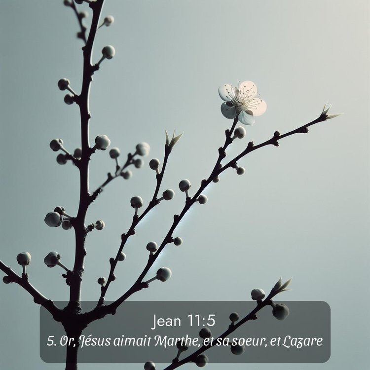 image nature avec verset biblique de la Bible