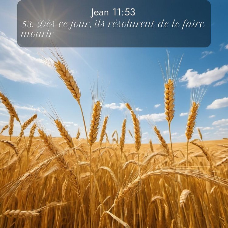 Segond Évangile selon Jean 11:53