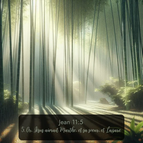 Segond Évangile selon Jean  ; image nature: image avec le verset biblique :Or, Jésus aimait Marthe, et sa soeur, et Lazare. ;  ; 11:5