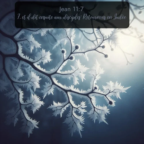 Segond Évangile selon Jean  ; image nature: image avec le verset biblique :et il dit ensuite aux disciples: Retournons en Judée. ;  ; 11:7