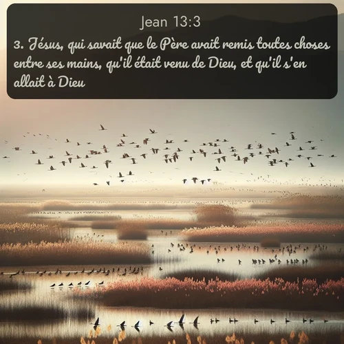 Segond Évangile selon Jean  ; image nature: image avec le verset biblique :Jésus, qui savait que le Père avait remis toutes choses entre ses mains, qu&#039;il était venu de Dieu, et qu&#039;il s&#039;en allait à Dieu, ;  ; 13:3