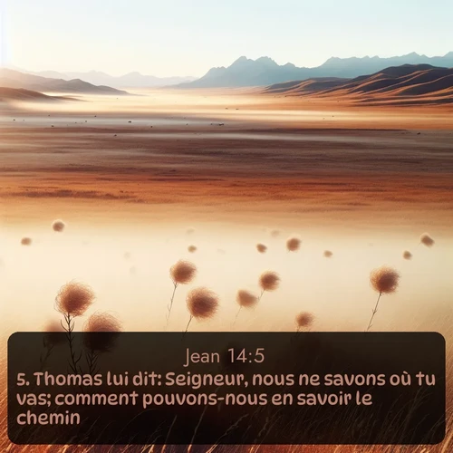 Segond Évangile selon Jean  ; image nature: image avec le verset biblique :Thomas lui dit: Seigneur, nous ne savons où tu vas; comment pouvons-nous en savoir le chemin? ;  ; 14:5