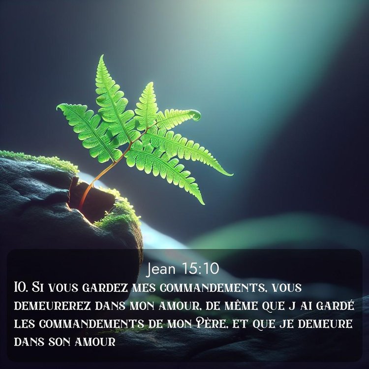 Segond Évangile selon Jean 15:10