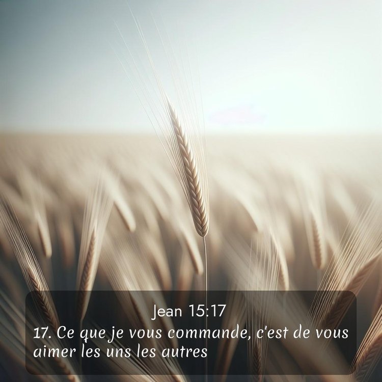 Segond Évangile selon Jean 15:17