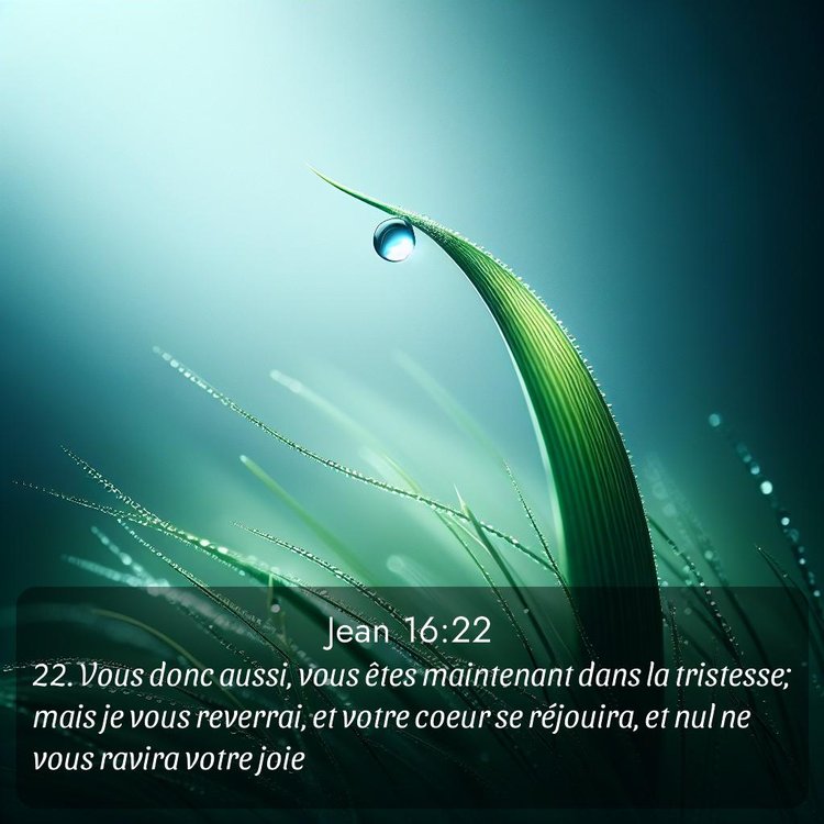 Segond Évangile selon Jean 16:22