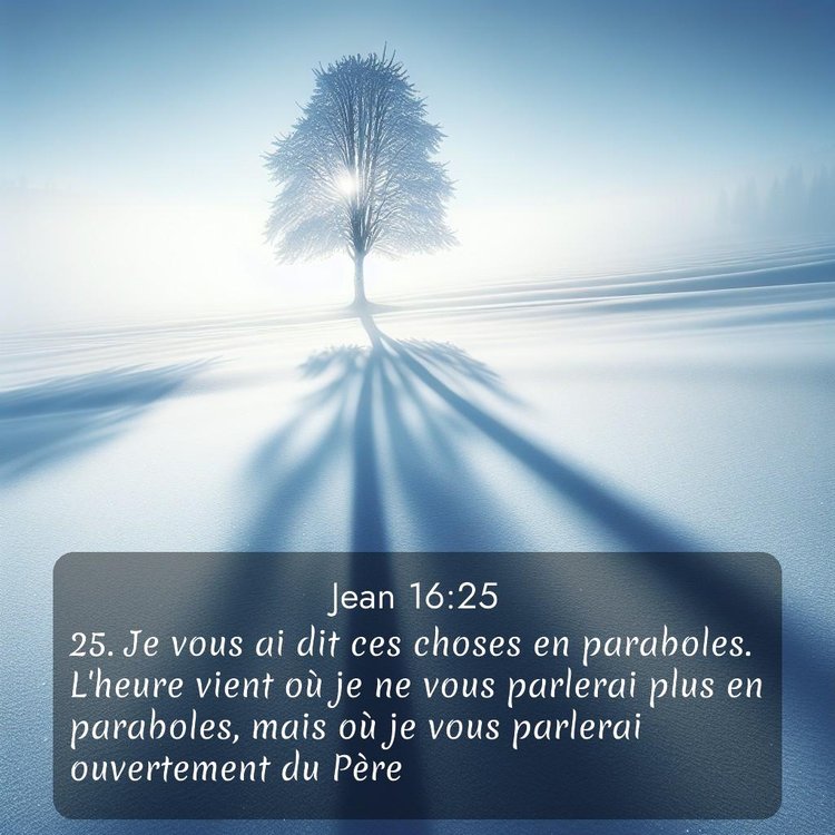 Segond Évangile selon Jean 16:25