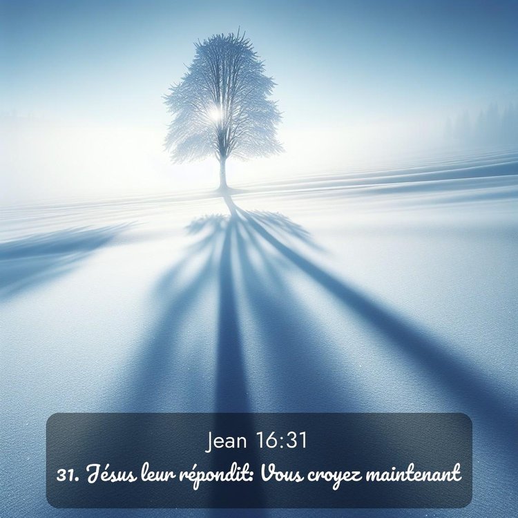 Segond Évangile selon Jean 16:31