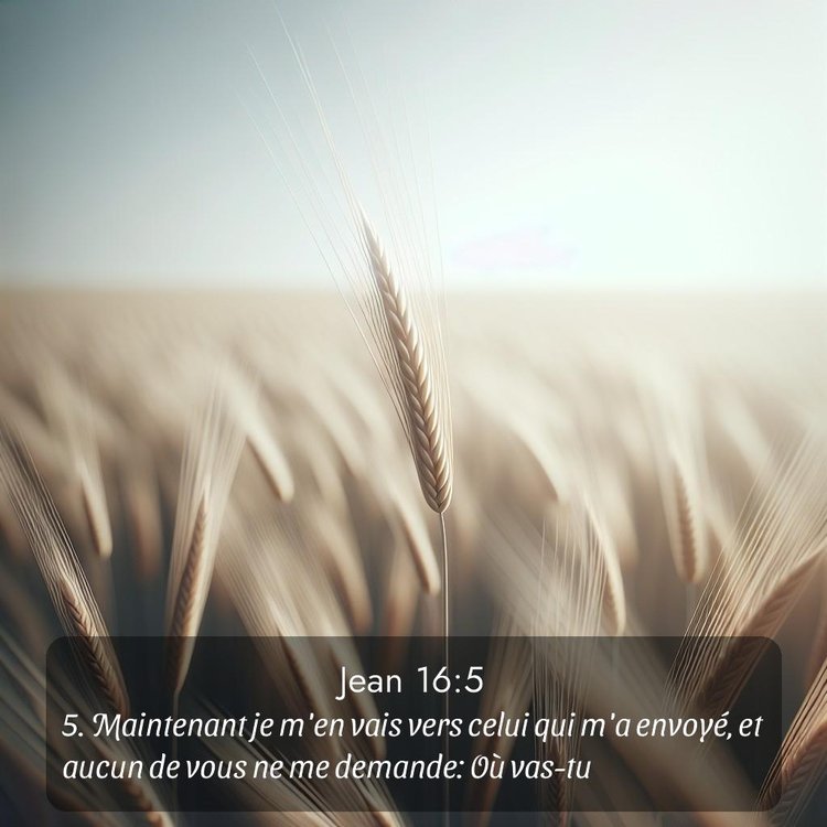 Segond Évangile selon Jean 16:5