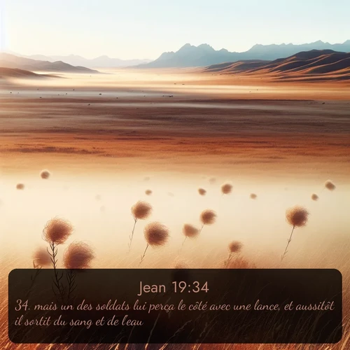 Segond Évangile selon Jean  ; image nature: image avec le verset biblique :mais un des soldats lui perça le côté avec une lance, et aussitôt il sortit du sang et de l&#039;eau. ;  ; 19:34