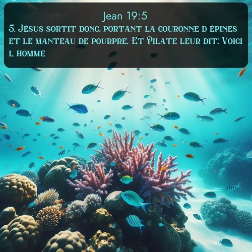 Segond Évangile selon Jean  ; image nature: image avec le verset biblique :Jésus sortit donc, portant la couronne d&#039;épines et le manteau de pourpre. Et Pilate leur dit: Voici l&#039;homme. ;  ; 19:5
