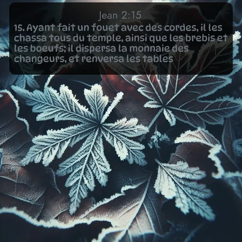 Segond Évangile selon Jean  ; image nature: image avec le verset biblique :Ayant fait un fouet avec des cordes, il les chassa tous du temple, ainsi que les brebis et les boeufs; il dispersa la monnaie des changeurs, et renversa les tables; ;  ; 2:15