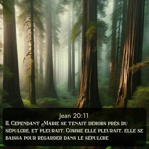 Segond Évangile selon Jean  ; image nature: image avec le verset biblique :Cependant Marie se tenait dehors près du sépulcre, et pleurait. Comme elle pleurait, elle se baissa pour regarder dans le sépulcre; ;  ; 20:11