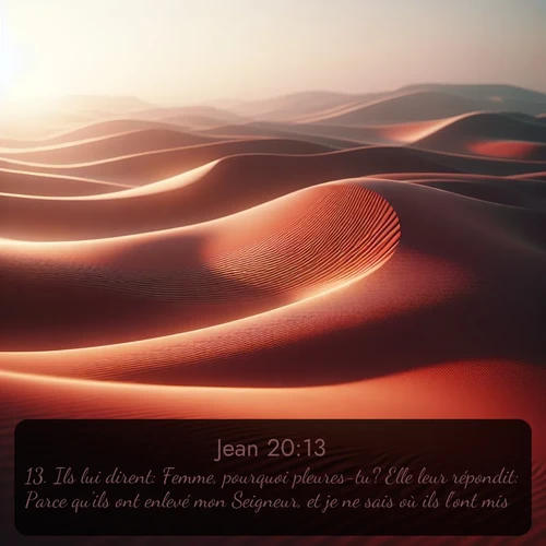 Segond Évangile selon Jean  ; image nature: image avec le verset biblique :Ils lui dirent: Femme, pourquoi pleures-tu? Elle leur répondit: Parce qu&#039;ils ont enlevé mon Seigneur, et je ne sais où ils l&#039;ont mis. ;  ; 20:13