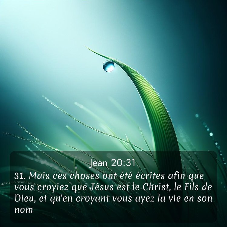 Segond Évangile selon Jean 20:31