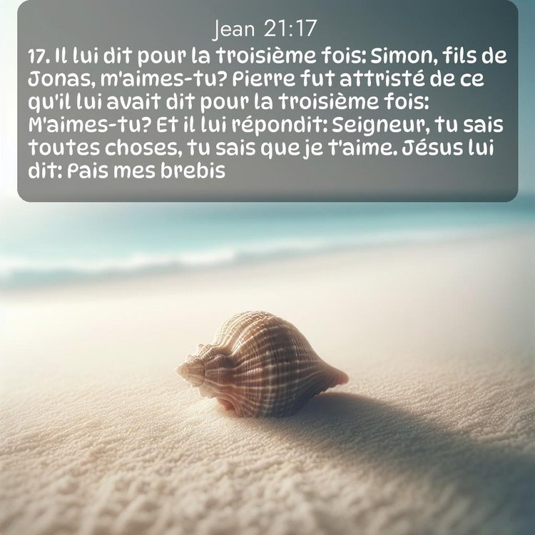 Segond Évangile selon Jean 21:17