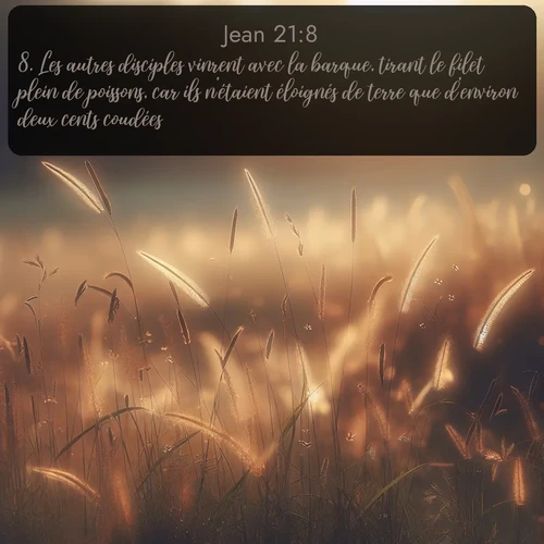 Segond Évangile selon Jean  ; image nature: image avec le verset biblique :Les autres disciples vinrent avec la barque, tirant le filet plein de poissons, car ils n&#039;étaient éloignés de terre que d&#039;environ deux cents coudées. ;  ; 21:8