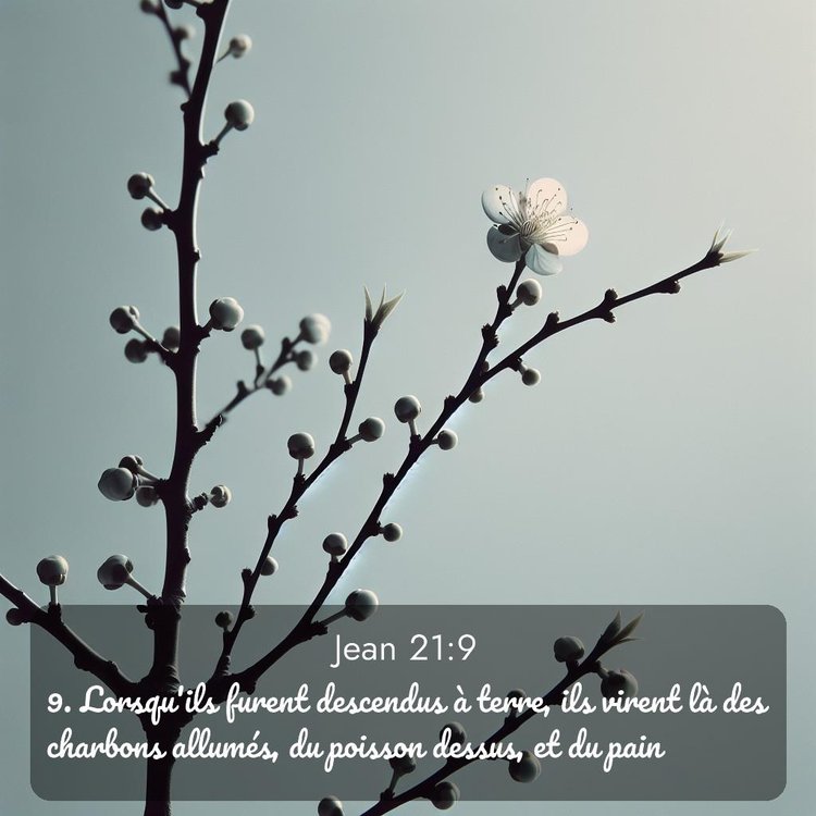 image nature avec verset biblique de la Bible