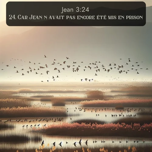 Segond Évangile selon Jean  ; image nature: image avec le verset biblique :Car Jean n&#039;avait pas encore été mis en prison. ;  ; 3:24