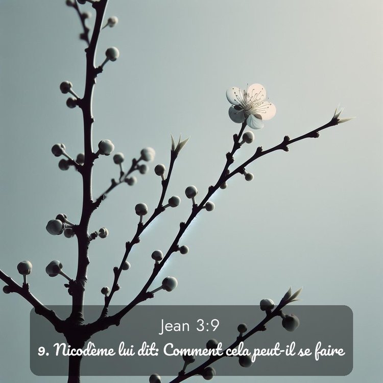 image nature avec verset biblique de la Bible