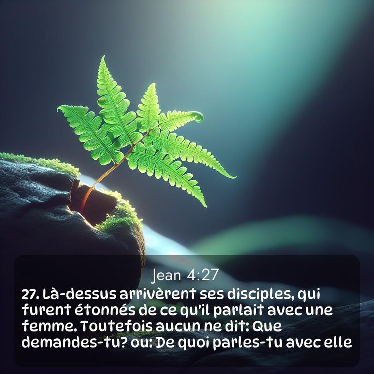 Segond Évangile selon Jean 4:27