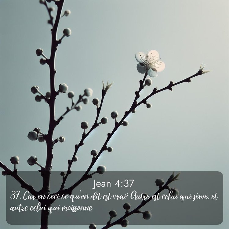 image nature avec verset biblique de la Bible