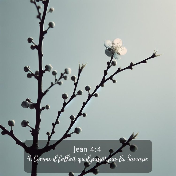 image nature avec verset biblique de la Bible