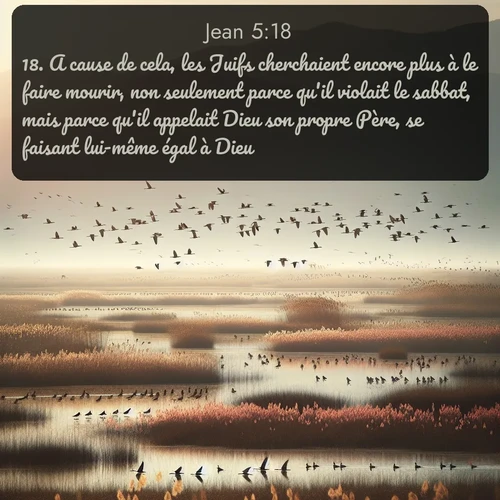 Segond Évangile selon Jean  ; image nature: image avec le verset biblique :A cause de cela, les Juifs cherchaient encore plus à le faire mourir, non seulement parce qu&#039;il violait le sabbat, mais parce qu&#039;il appelait Dieu son propre Père, se faisant lui-même égal à Dieu. ;  ; 5:18