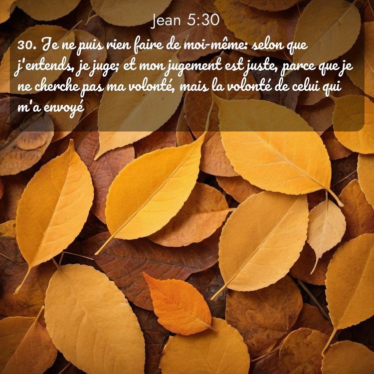 image nature avec verset biblique de la Bible