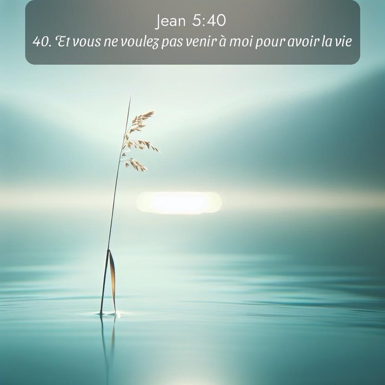 Segond Évangile selon Jean 5:40