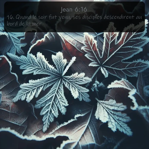 Segond Évangile selon Jean  ; image nature: image avec le verset biblique :Quand le soir fut venu, ses disciples descendirent au bord de la mer. ;  ; 6:16