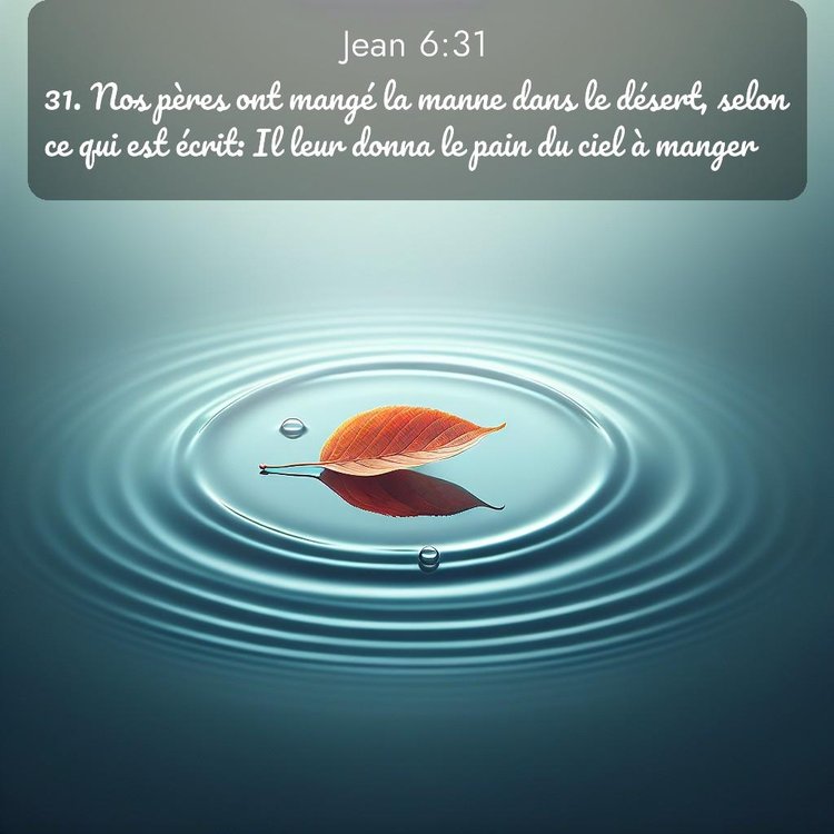 Segond Évangile selon Jean 6:31