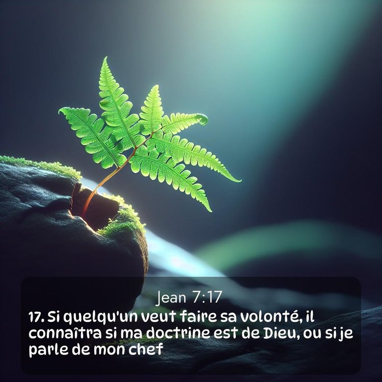 Segond Évangile selon Jean 7:17