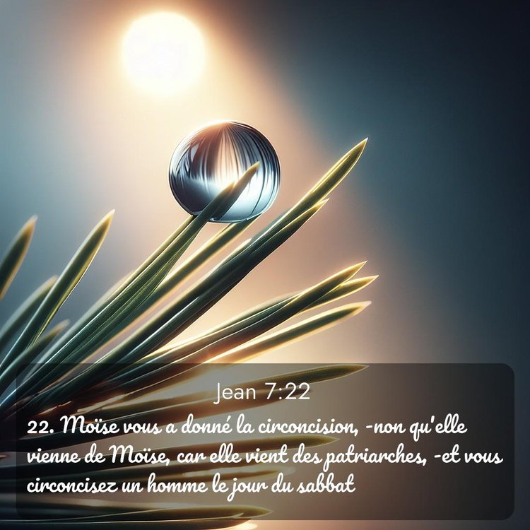 Segond Évangile selon Jean 7:22