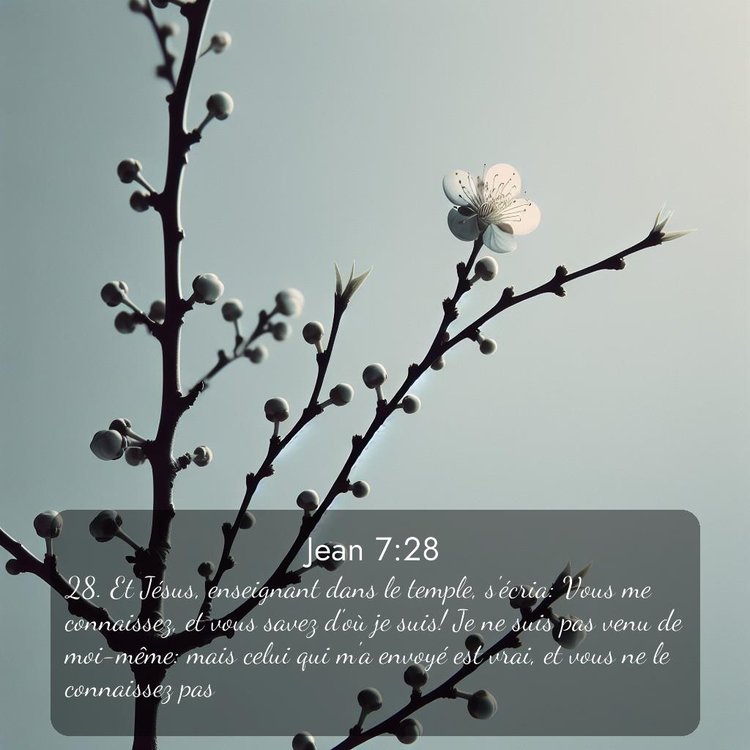image nature avec verset biblique de la Bible