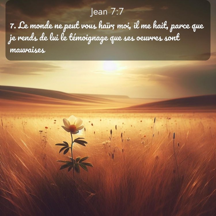 Segond Évangile selon Jean 7:7