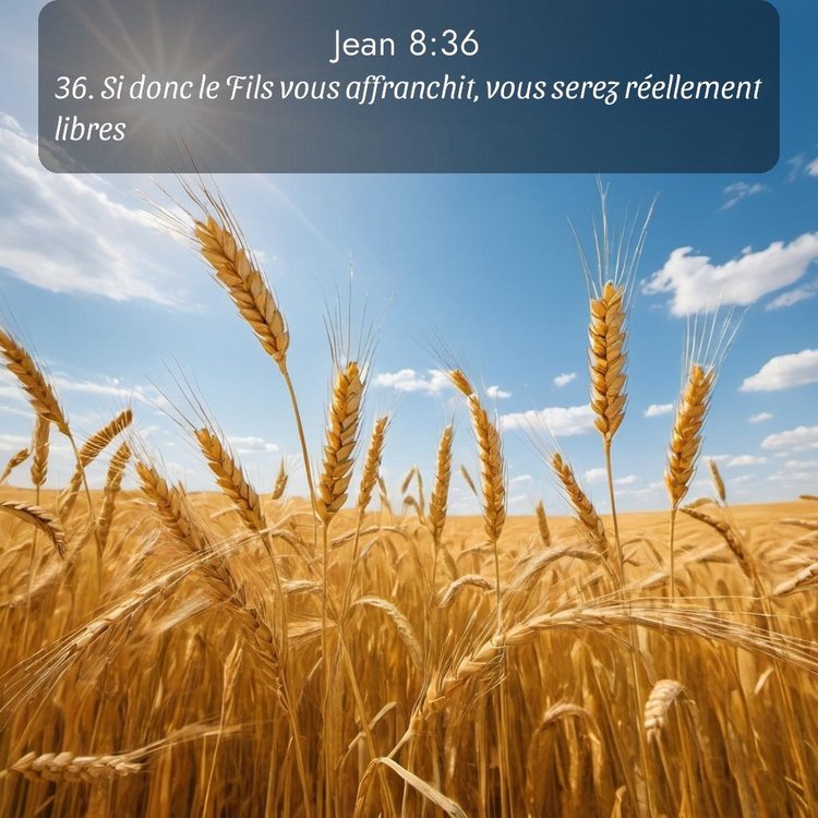 Segond Évangile selon Jean 8:36