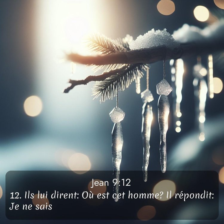 Segond Évangile selon Jean 9:12