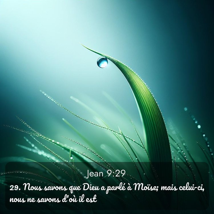 Segond Évangile selon Jean 9:29