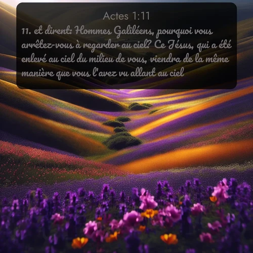 Segond Actes  ; image nature: image avec le verset biblique :et dirent: Hommes Galiléens, pourquoi vous arrêtez-vous à regarder au ciel? Ce Jésus, qui a été enlevé au ciel du milieu de vous, viendra de la même manière que vous l&#039;avez vu allant au ciel. ;  ; 1:11