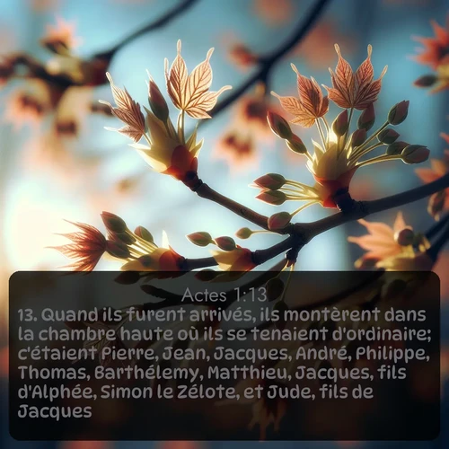 Segond Actes  ; image nature: image avec le verset biblique :Quand ils furent arrivés, ils montèrent dans la chambre haute où ils se tenaient d&#039;ordinaire; c&#039;étaient Pierre, Jean, Jacques, André, Philippe, Thomas, Barthélemy, Matthieu, Jacques, fils d&#039;Alphée, Simon le Zélote, et Jude, fils de Jacques. ;  ; 1:13