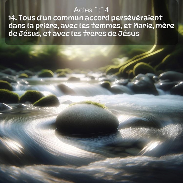 Segond Actes 1:14