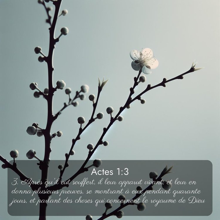 Segond Actes 1:3