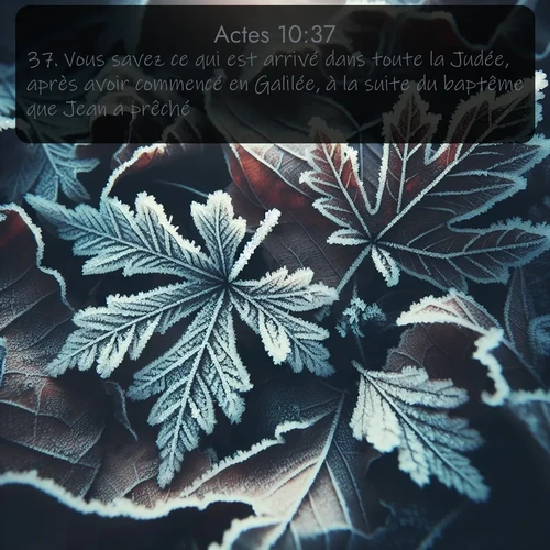 Segond Actes  ; image nature: image avec le verset biblique :Vous savez ce qui est arrivé dans toute la Judée, après avoir commencé en Galilée, à la suite du baptême que Jean a prêché; ;  ; 10:37