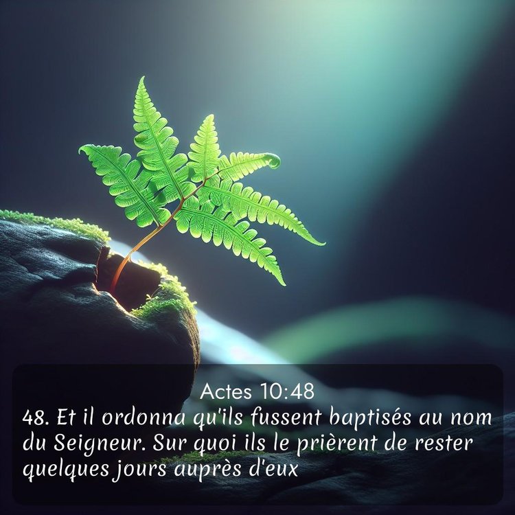 Segond Actes 10:48