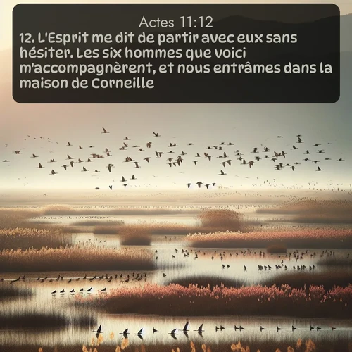 Segond Actes  ; image nature: image avec le verset biblique :L&#039;Esprit me dit de partir avec eux sans hésiter. Les six hommes que voici m&#039;accompagnèrent, et nous entrâmes dans la maison de Corneille. ;  ; 11:12