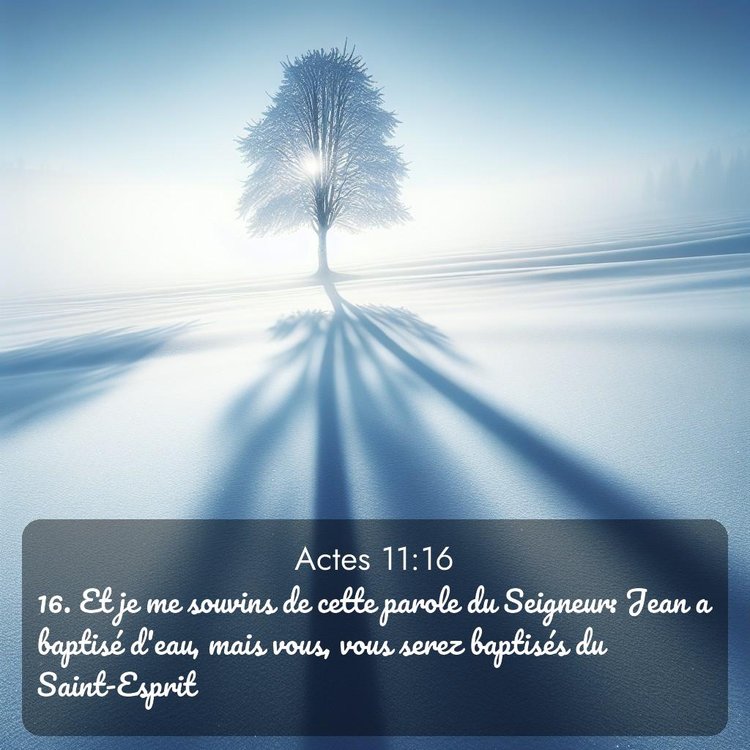 Segond Actes 11:16