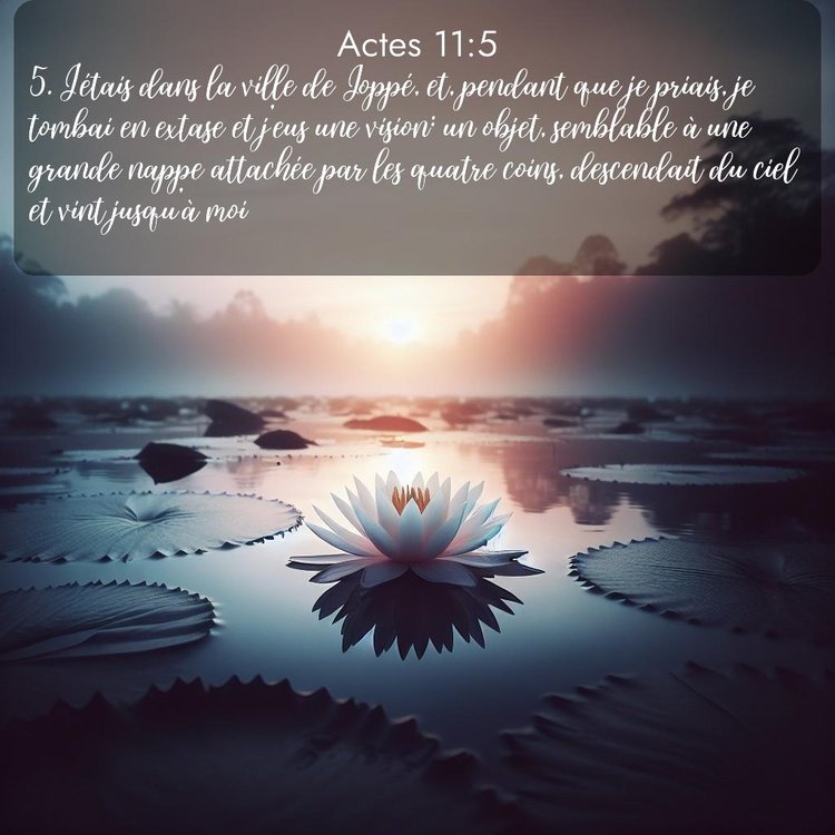 Segond Actes 11:5